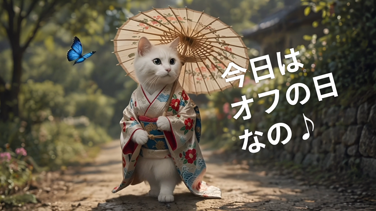 美しい白猫の登場